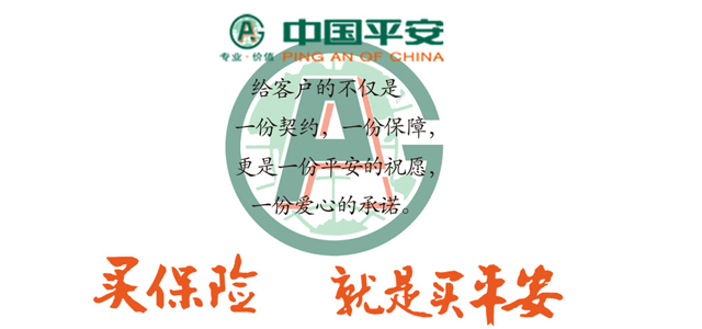 中国平安保险 中国平安保险